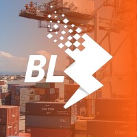 Boarder Logistics logo - Similar company to B2B Express S.A.
