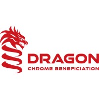 Dragon Chrome logo - Similar company to Dragon Precision Engineering
