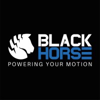 Black Horse FAS logo - Similar company to Ev Miles