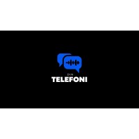 Din Telefoni logo - Similar company to Salesflow As