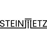 Steinmetz logo - Similar company to Inversion Semiconductor (Yc W25)