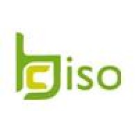 Biso Consulting logo - Similar company to Cabo Platinum