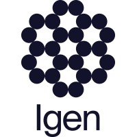 Igen Energy logo - Similar company to Pv Plus Limited