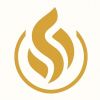 Syndicate Spark Surge logo - Similar company to Refind.Lk