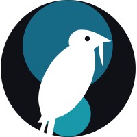 PICO Informativo logo - Similar company to Kotiloma