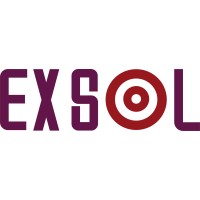 Exsol Teknoloji logo - Similar company to Sheeshbucks