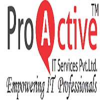 ProActive IT Services Pvt.Ltd. Pune logo - Similar company to Api Augment
