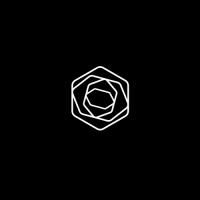 Black Flower Agency logo - Similar company to Luminocity Festival