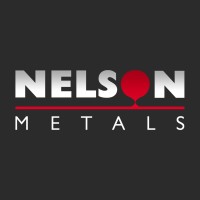 Nelson Metals - Grupo Master Power logo - Similar company to Mvv Soluções | Precisão Que Transforma