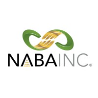 NABA INC Boston Chapter logo - Similar company to Bentley Center For Analytics And Data Science