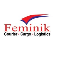 FEMINIK LOGISTICS logo - Similar company to Smiles Logistics