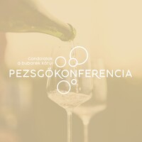 Pezsgőkonferencia logo - Similar company to Copywice