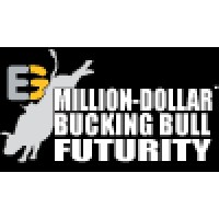 Bucking Bull Games