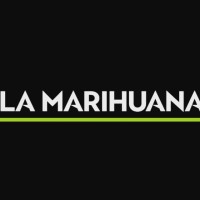 LaMarihuana.com logo - Similar company to Cbd' Horta