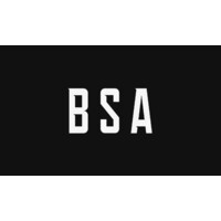 Blockchain Security Alliance logo - Similar company to Blockchain Development Foundation
