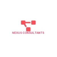 Nexus Consultant logo - Similar company to True Hire Consulting