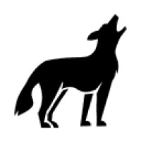 Coyot Consulting