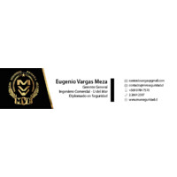 MVE SEGURIDAD PRIVADA SPA logo - Similar company to Dgr Seguridad Privada