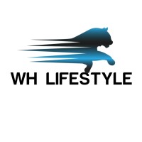 WH LIFESTYLE logo - Similar company to Syskin Technologies