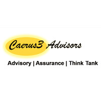 Caerus3 Advisors & Think-Tank logo - Similar company to Caerus
