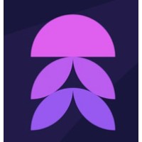 BRAID-AI logo - Similar company to Braid