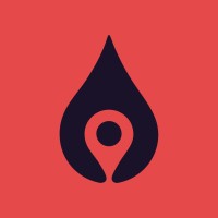 BenzinLitre logo - Similar company to Datalyst