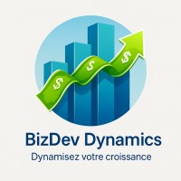 BizDev Dynamics logo - Similar company to Vizier