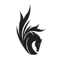 Pegasus Global Advisors logo - Similar company to Solid John