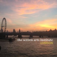 The Screen Arts Institute