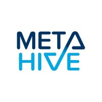 MetaHive Design Consulting logo - Similar company to Eis Techinfra Solutions