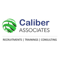 Caliber Associates logo - Similar company to Mohan Impex