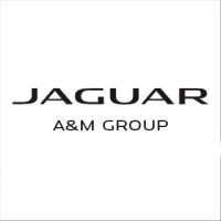 Jaguar A&M Group logo - Similar company to Jaguar Group