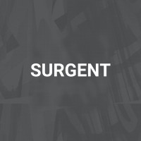 Surgent logo - Similar company to Total Project Controls