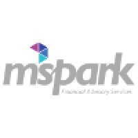 mspark financial advisory services logo - Similar company to Karwa Bhatia & Co