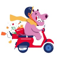 HippoCart logo - Similar company to Double Nine Group