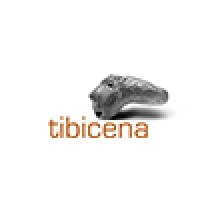 Tibicena Arqueologia Y Patrimonio Sl