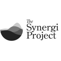The Synergi Project logo - Similar company to X Press