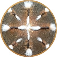 Galddoaivi Safaris logo - Similar company to Peerâ Hotels & Cottages