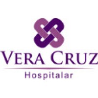 VERA CRUZ DISTRIBUIDORA DE PRODUTOS HOSPITALARES logo - Similar company to Jasmed - Distribuidora De Medicamentos