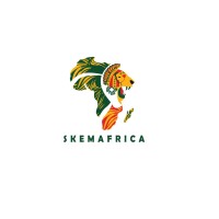 SKEMAFRICA logo - Similar company to Cs Afrique