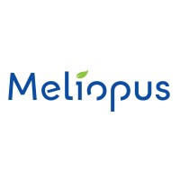 Meliopus logo - Similar company to Gbm Group