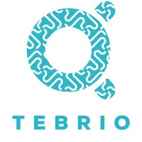Tebrio logo - Similar company to Cybertix