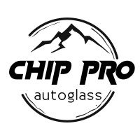 Chip Pro logo - Similar company to Lmste Llc