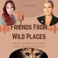 Friends From Wild Places Podcast logo - Similar company to Networking Hub
