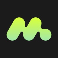 MULTIINSIGHT - Shopify Service Partners logo - Similar company to Billion Technologies, Inc