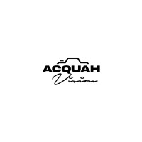 Acquah Visions logo - Similar company to Nextmakers Foundation