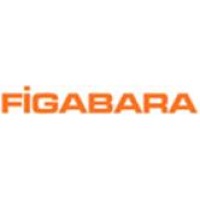 FİGABARA logo - Similar company to Vierfiri Mühendislik Çözümleri Limited Şirketi