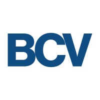 Braddock Cove Ventures