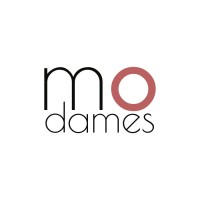 Modames logo - Similar company to Arkyan