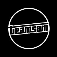 TheTeamsam logo - Similar company to Competence Africa